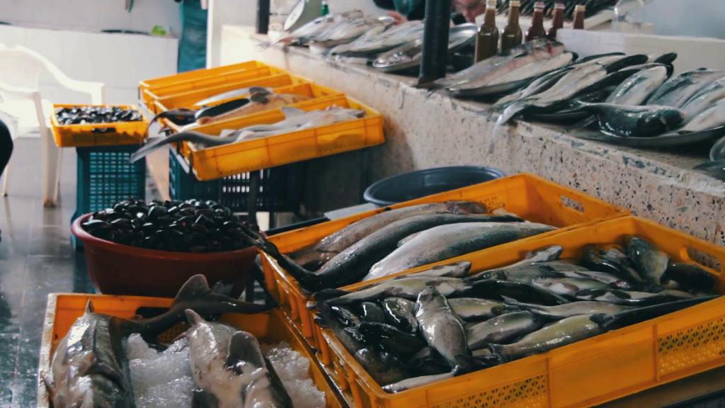 Fish on the counter