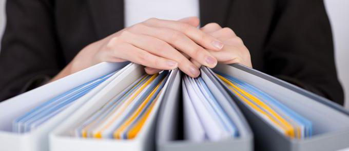 job description of the deputy director for administrative part