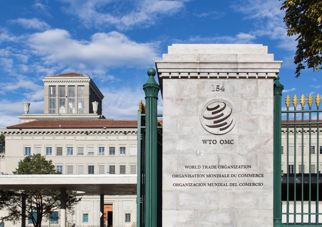 why did Russia join the WTO?
