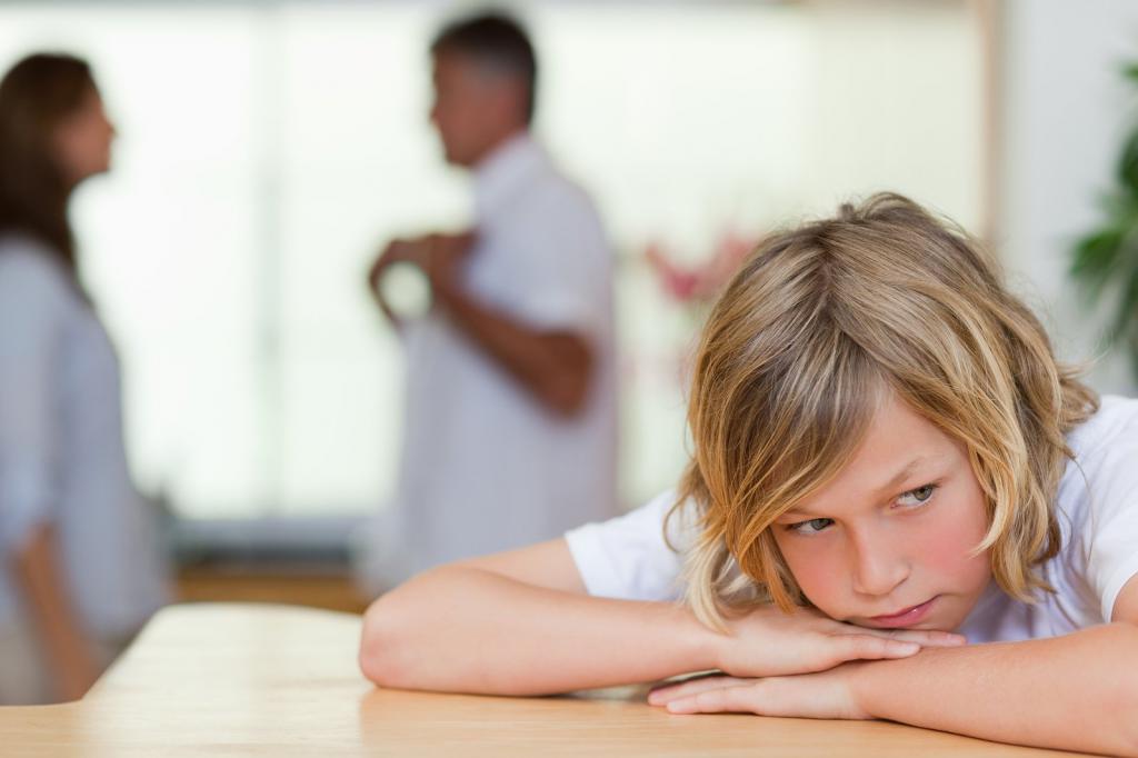 Informations sur les activités du Commissaire aux droits de l'enfant