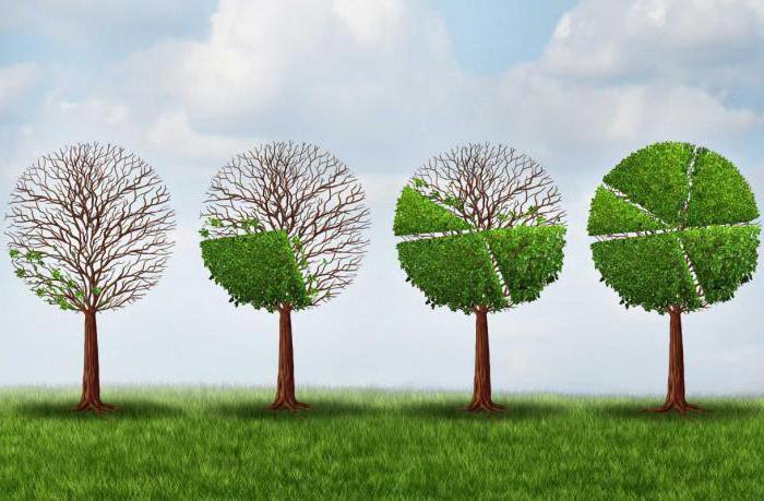 types of accounts payable organizations