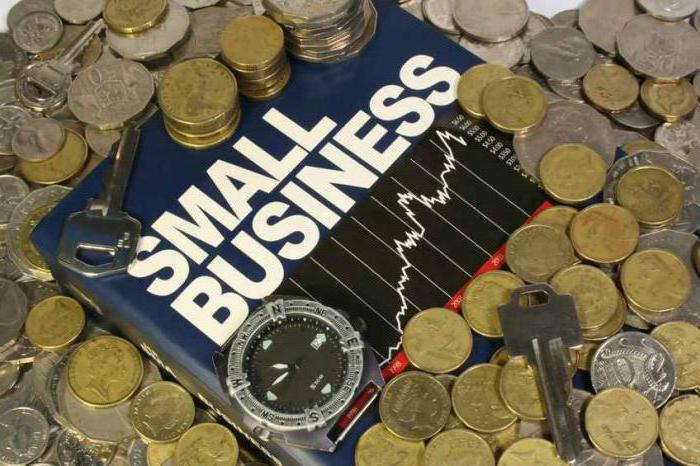 authorized capital of an individual entrepreneur