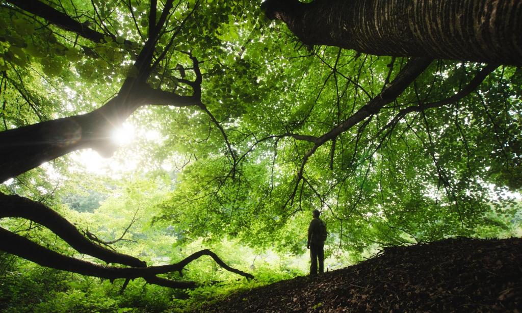 types of environmental harm