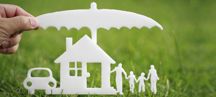 social risks and insurance claims