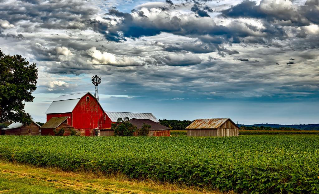 Ferme
