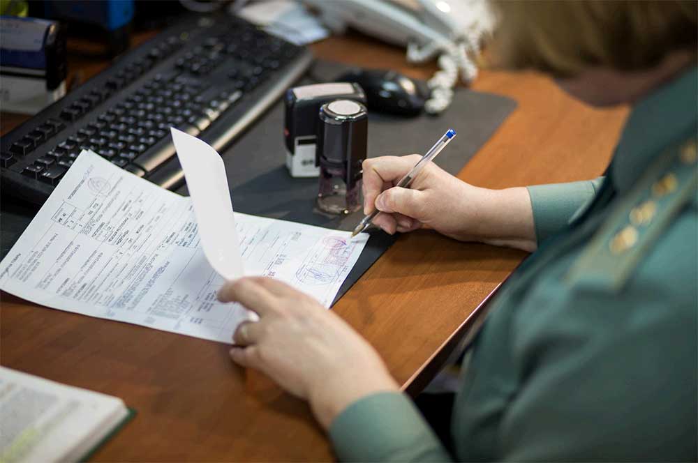Drafting of documents