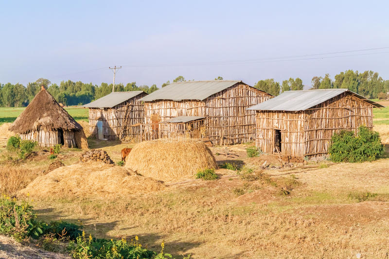 House with land