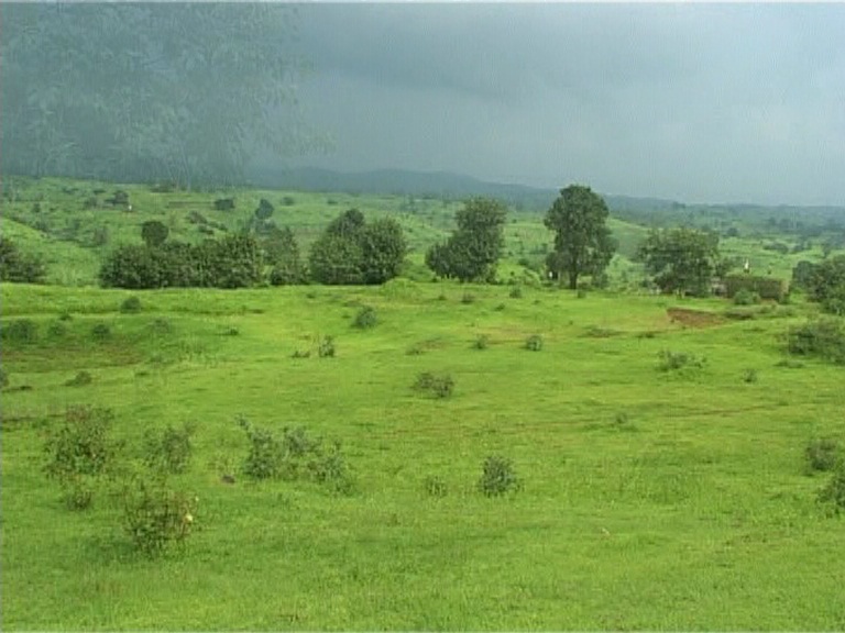 Responsibility for unauthorized occupation of the land