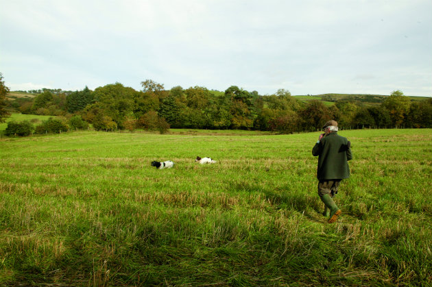 Penalties and liability for land capture