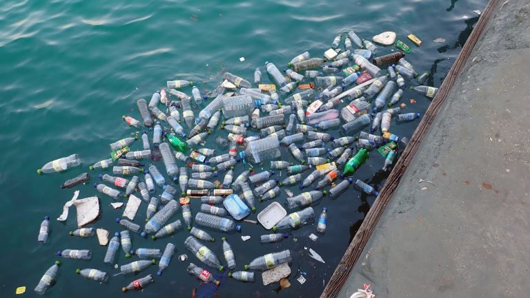 illegal dumping