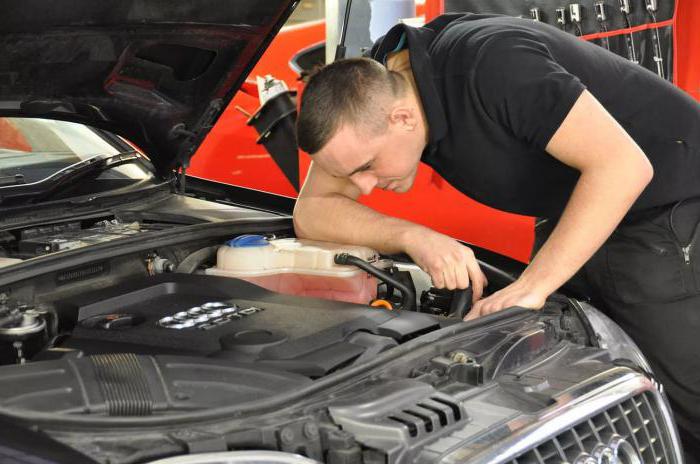 auto dealers