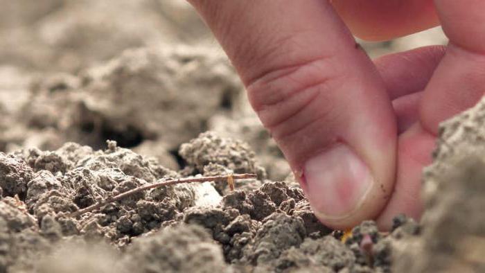 SNP soil compaction factors