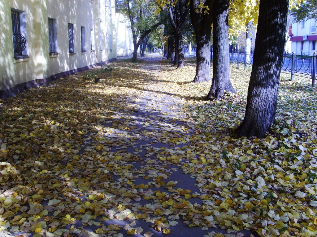 Autumn in Elektrostal
