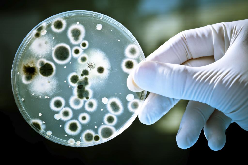 Smallpox