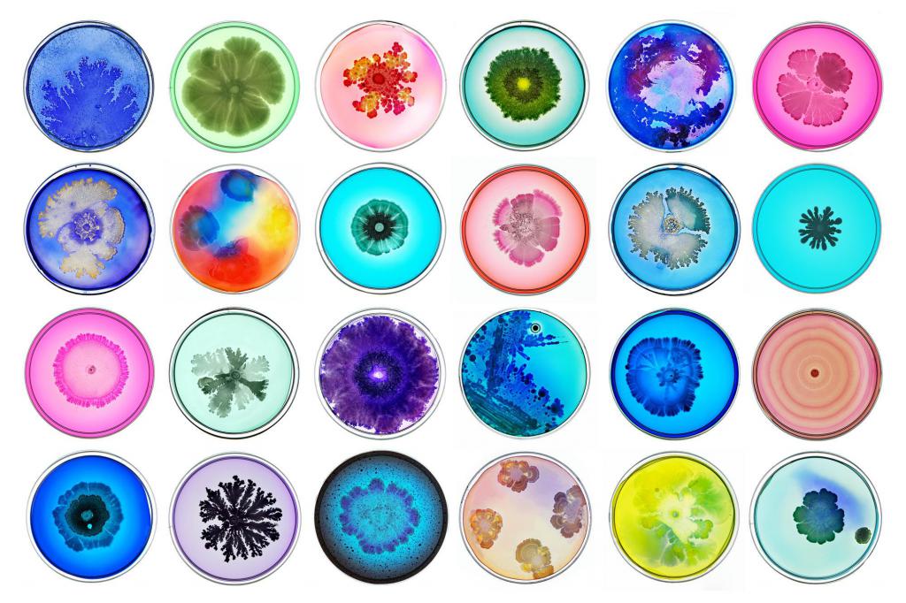 Classification of pathogenicity