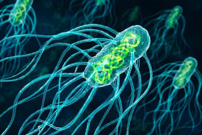 Pathogenic viruses