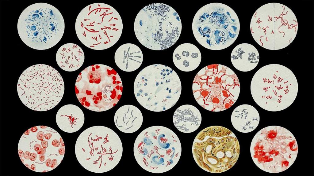 Pathogenic viruses