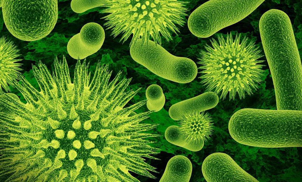 Groups of pathogenicity of microorganisms
