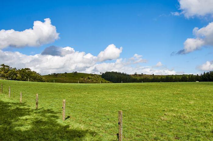 accord d'échange de terrain pour un immeuble d'habitation