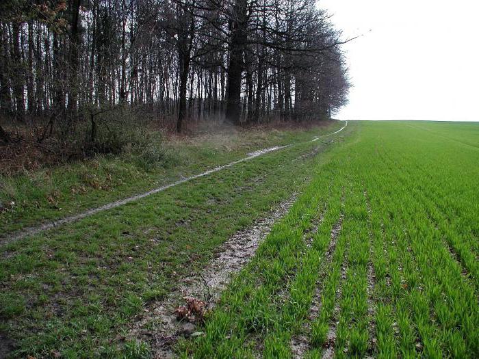 land share