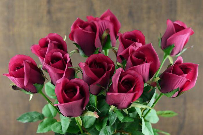 country roses suppliers