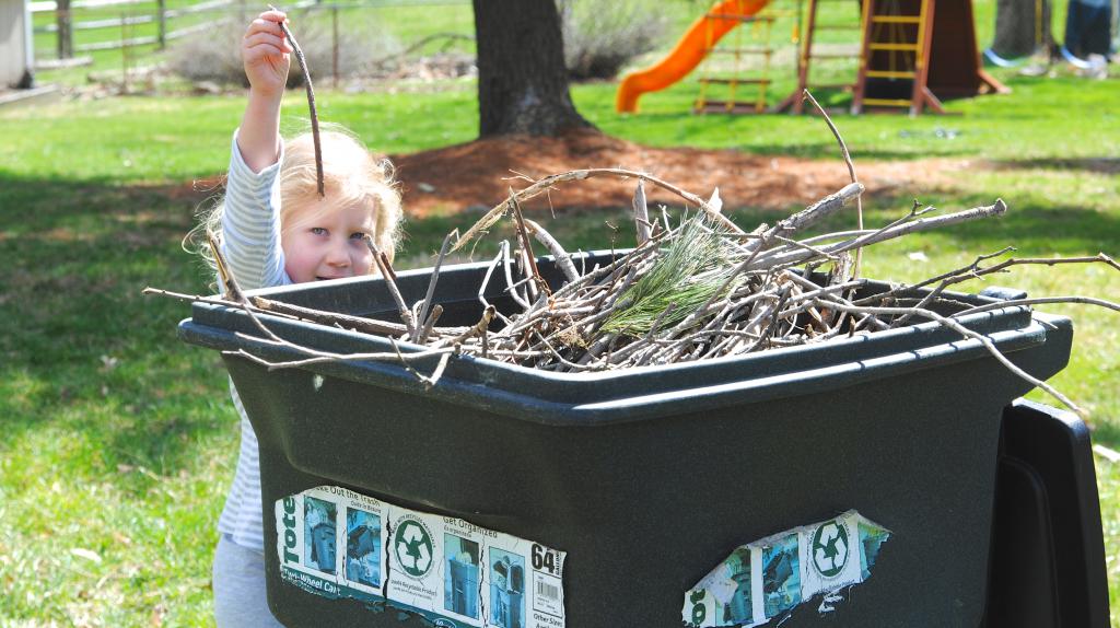 yard cleaning regulations