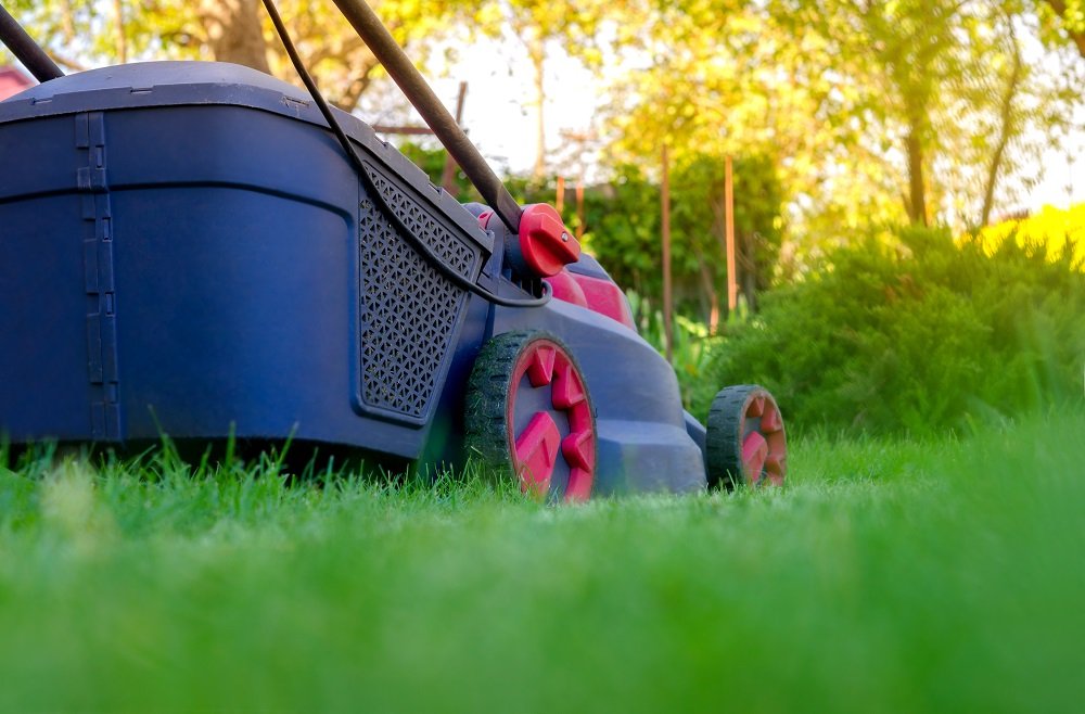 yard cleaning
