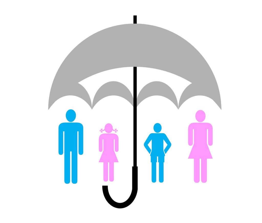 rights and obligations of entities