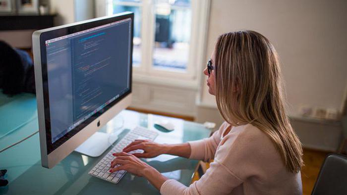 job description programmer budgetary institution