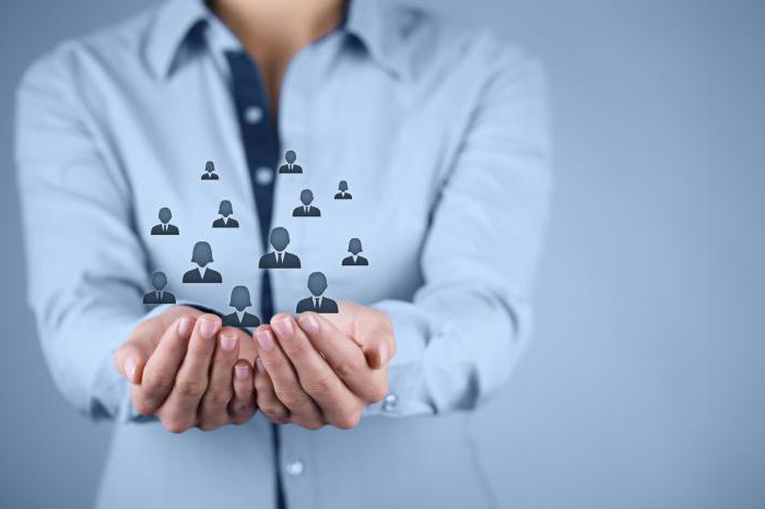 audit staff