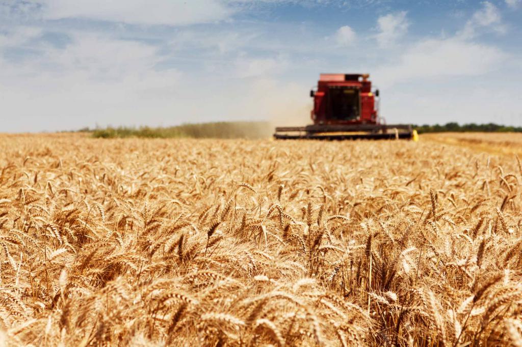 forms of agricultural cooperation