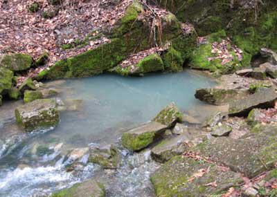 Surface and groundwater bodies
