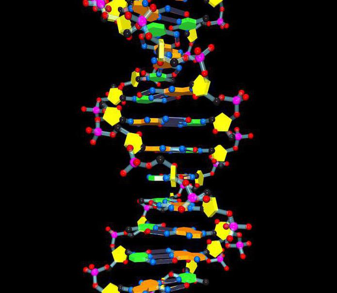 preuve directe du rôle génétique de l'adn