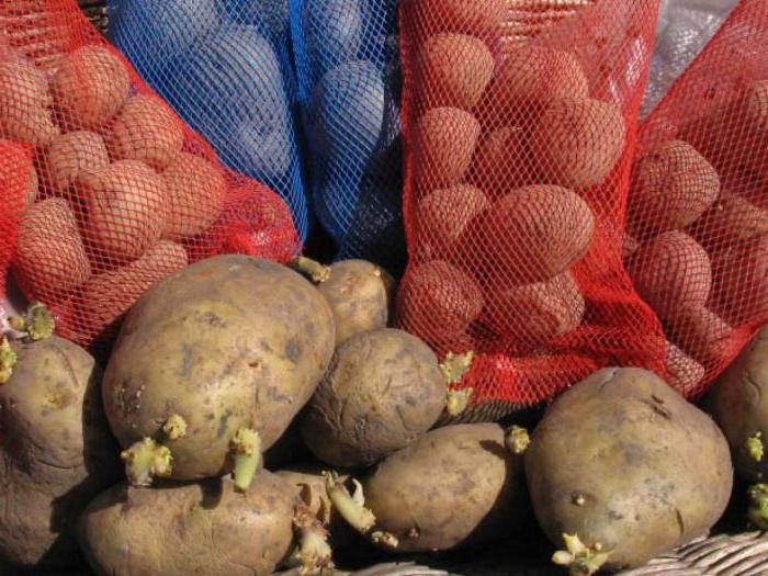 documentation of the purchase of potatoes from the population