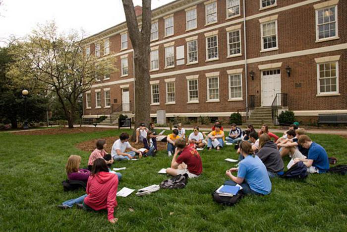 Polish universities