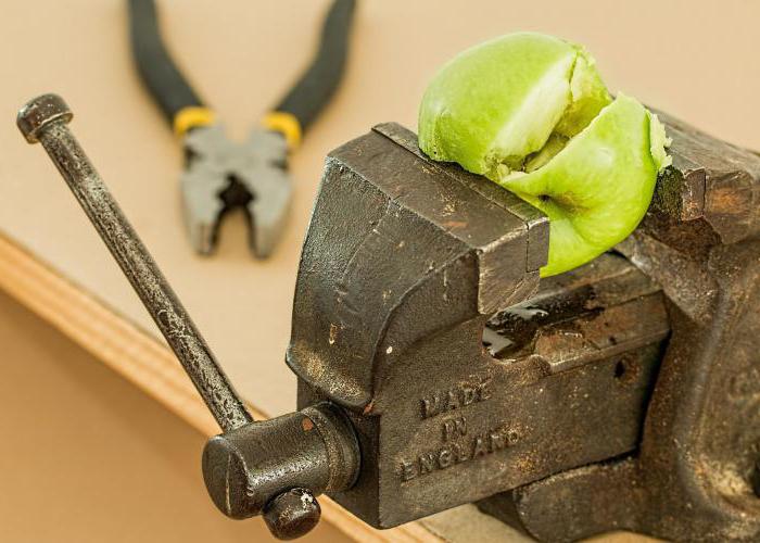 procedure for filling out an industrial accident