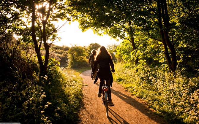 bicycle rental business plan