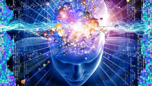 human brain