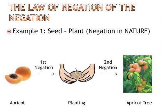 loi négation négation exemples de vie