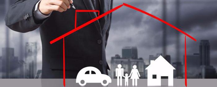 insurer insured