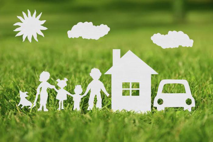 insurer and policyholder