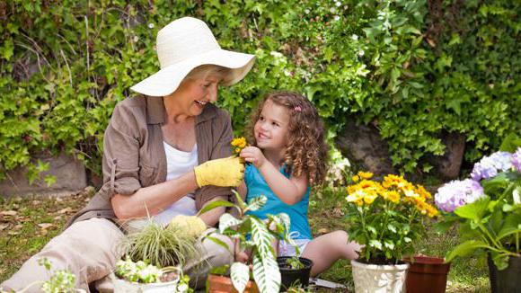 business for women seniors