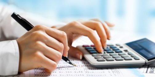 duties of tax inspector