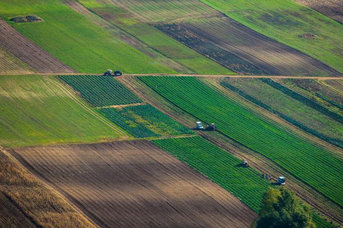 unauthorized seizure of land responsibility