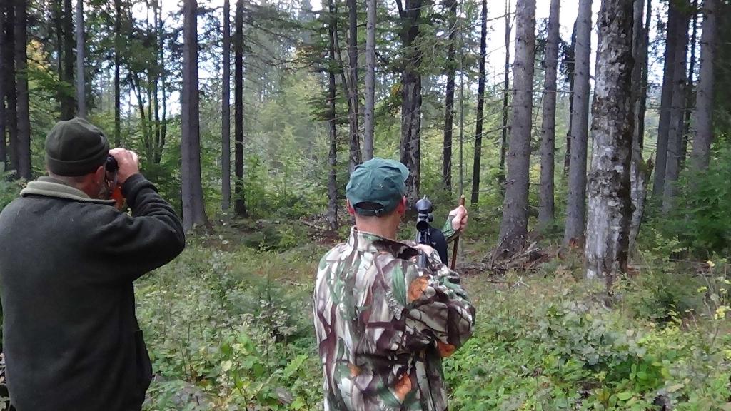 Chasse individuelle, chasse au volant