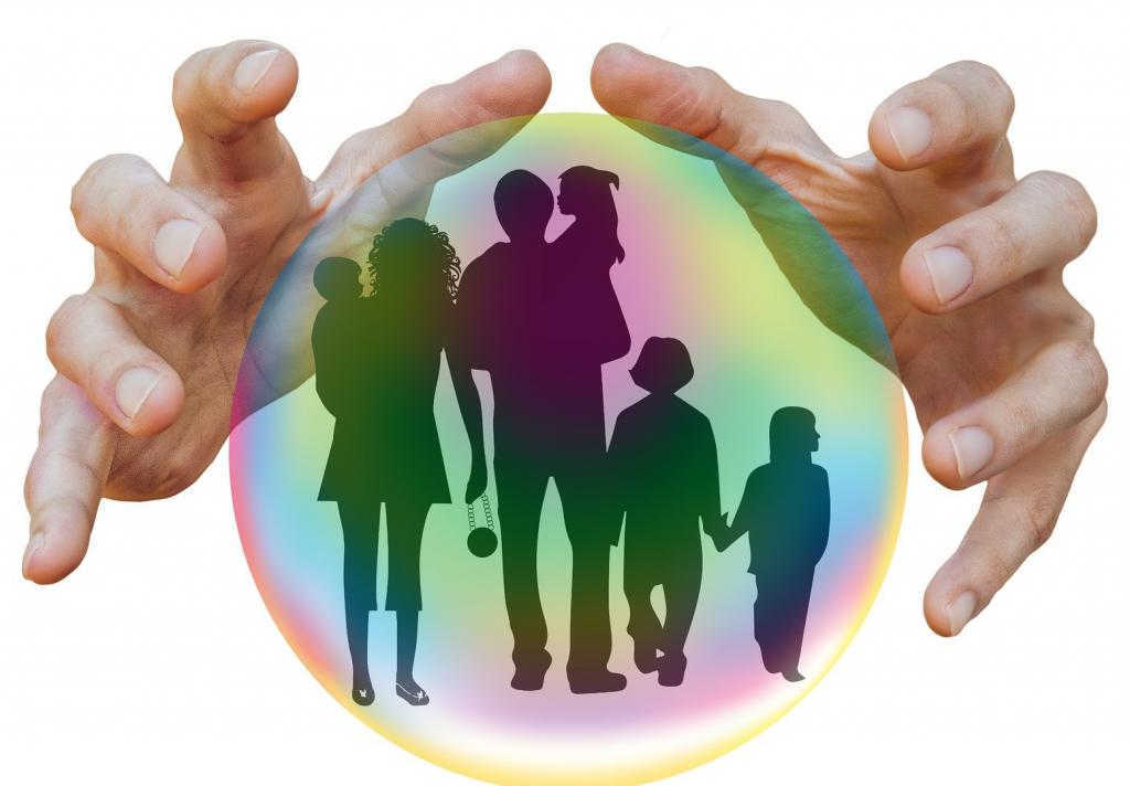 what is a large family