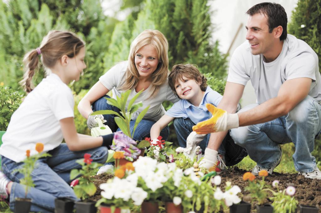 obtenir des terres pour un troisième enfant