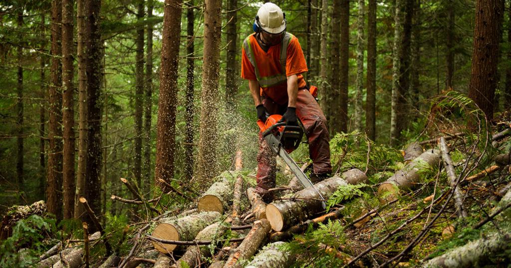 difficult working conditions and harmful working conditions