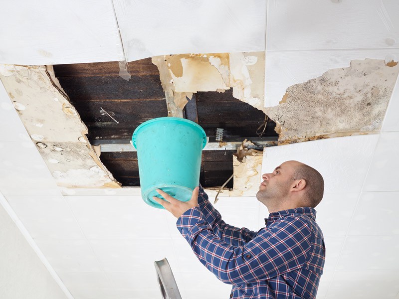 exemple de certificat d'inspection de l'appartement après la baie