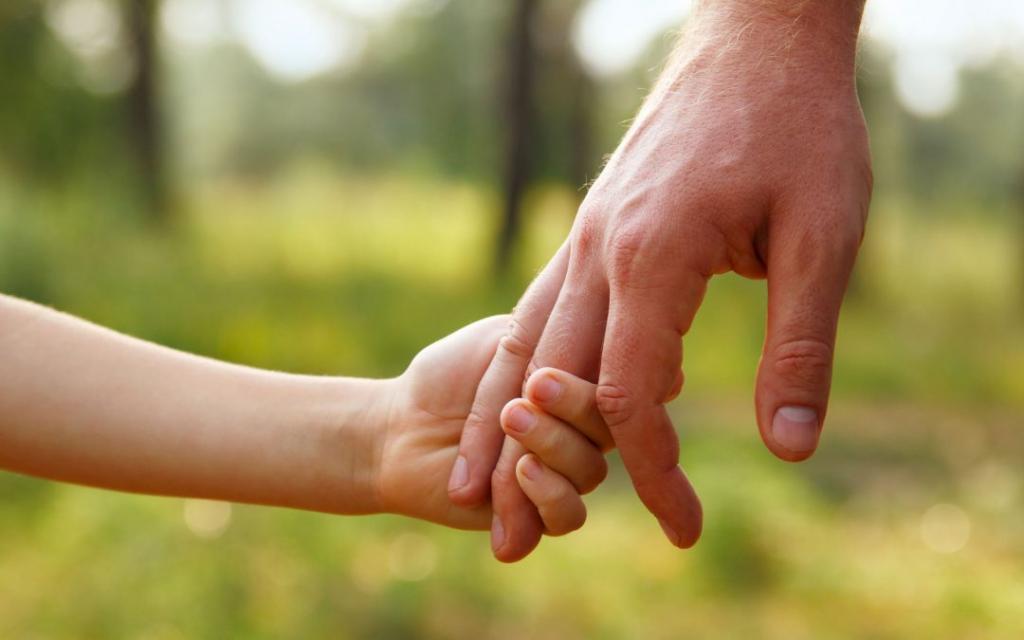 establishment of preliminary custody of a minor